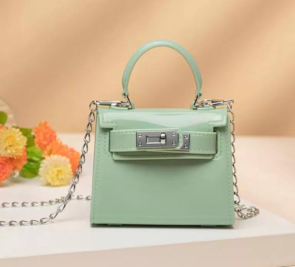 Baby Birkin Accessory bags